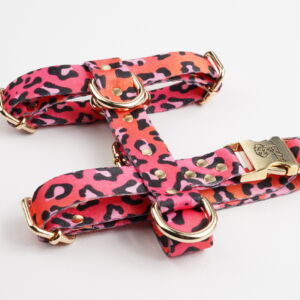 Pink Leo H-Harness