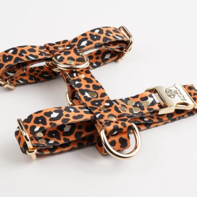 Classic Leo H-Harness
