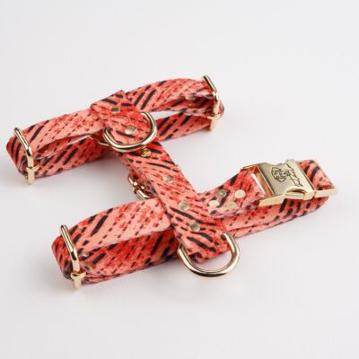 Tom H-Harness