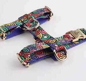 Raınbow H-Harness