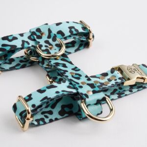 Blue Leo H-Harness