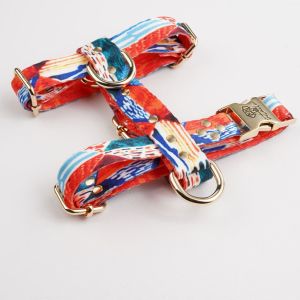 Orange H-Harness