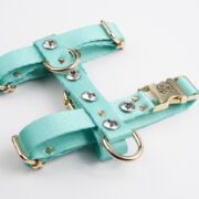 Mint Yeşili Diamond Göğüs Tasması