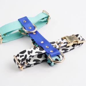 Blueberry H-Harness