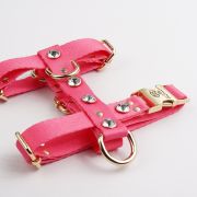Pembe Diamond Göğüs Tasması