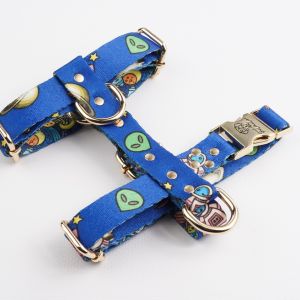 New Galaxy H-Harness