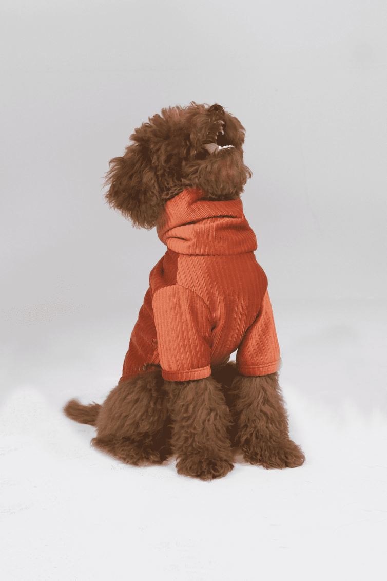 The Taılor Cinnamon Velvet Sweater