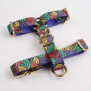 Raınbow Göğüs Tasması