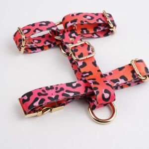 Pink Leo Göğüs Tasması