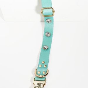 Mint Yeşili Diamond Boyun Tasması