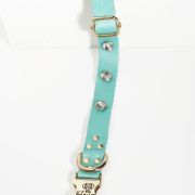 Mint Yeşili Diamond Boyun Tasması