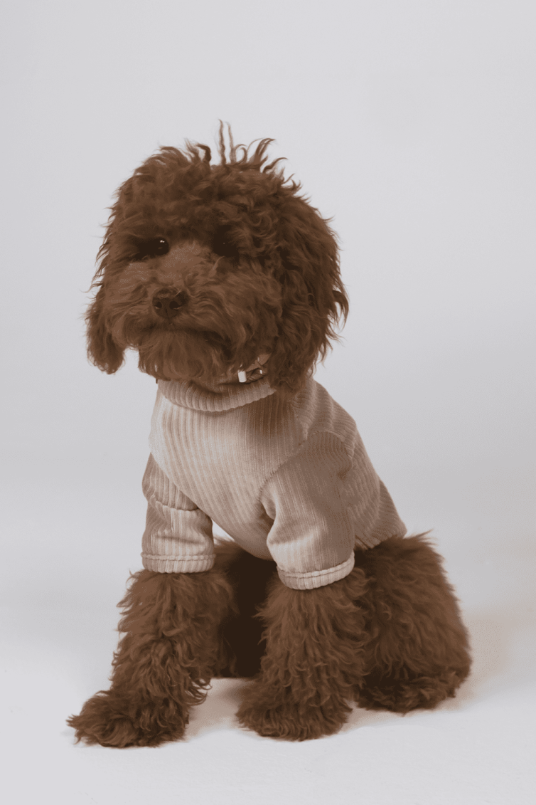 The Taılor Mink Sweater
