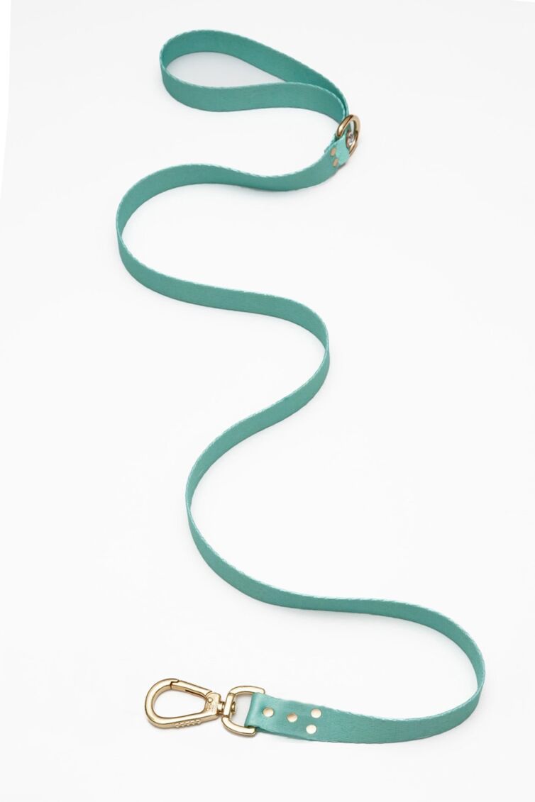 Mint Green Diamond Leash