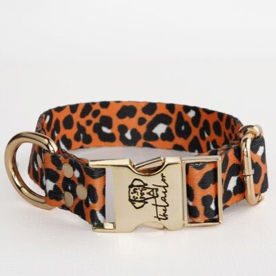 Leo Collar