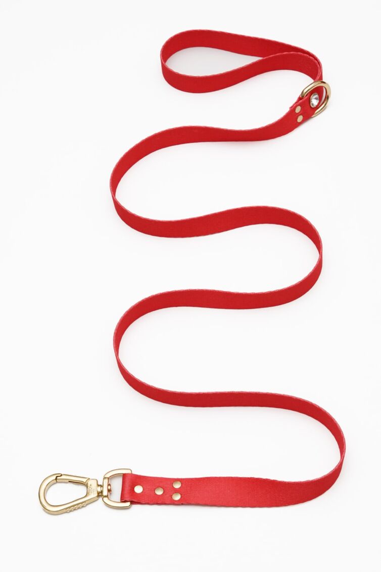 Red Diamond Leash