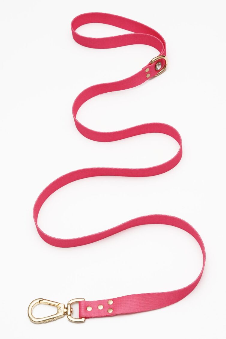 Pink Diamond Leash