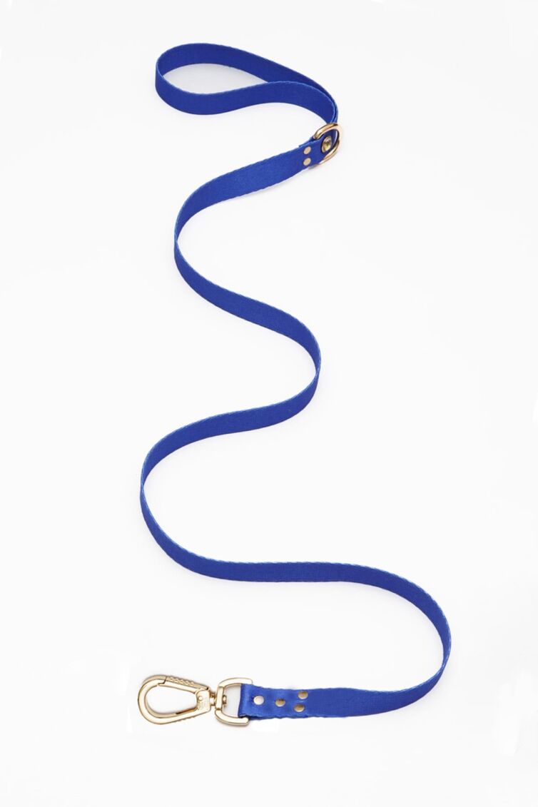 Blue Diamond Leash