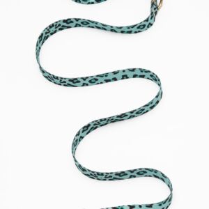 Blue Leo Leash