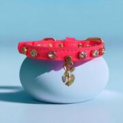 Neon Pink Swarovski Collar