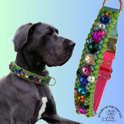 Jungle Swarovski Paracord Boyun Tasması