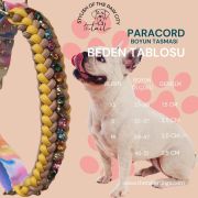 Bee Swarovski Paracord Boyun Tasması