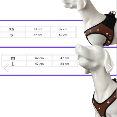 Air Mesh Göğüs Tasması