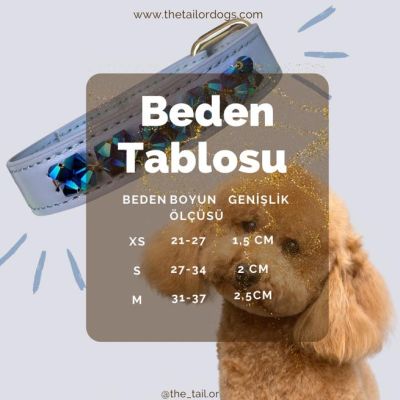 Happy Mood Deri Boyun Tasması