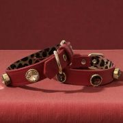 Kırmızı Swarovski Boyun Tasması